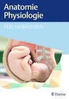 bokomslag Anatomie und Physiologie für Hebammen