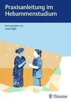 bokomslag Praxisanleitung im Hebammenstudium