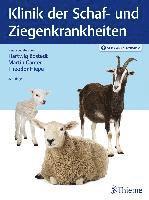 bokomslag Klinik der Schaf- und Ziegenkrankheiten