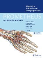 bokomslag PROMETHEUS Allgemeine Anatomie und Bewegungssystem