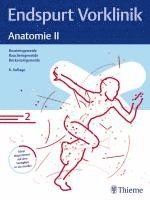 Endspurt Vorklinik: Anatomie II 1