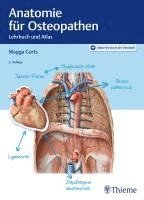 Anatomie für Osteopathen 1