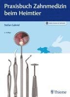 bokomslag Praxisbuch Zahnmedizin beim Heimtier