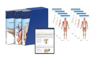 bokomslag PROMETHEUS LernPaket Anatomie