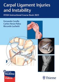 bokomslag Carpal Ligament Injuries and Instability