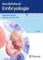 bokomslag Kurzlehrbuch Embryologie