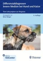 bokomslag Differenzialdiagnosen Innere Medizin bei Hund und Katze