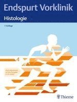 bokomslag Endspurt Vorklinik: Histologie