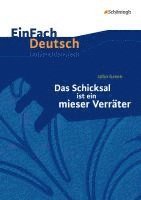 bokomslag Das Schicksal ist ein mieser Verräter. EinFach Deutsch Unterrichtsmodelle