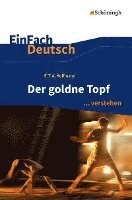 bokomslag Der goldne Topf. EinFach Deutsch ... verstehen