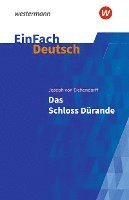 bokomslag Das Schloss Dürande. EinFach Deutsch Textausgaben