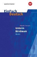 bokomslag Unterm Birnbaum. EinFach Deutsch Textausgaben