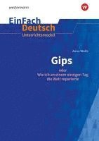 bokomslag Anna Woltz: Gips oder Wie ich an einem einzigen Tag die Welt reparierte. Klassen 5 - 7EinFach Deutsch Unterrichtsmodelle