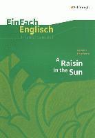 bokomslag Raisin in the Sun. EinFach Englisch Unterrichtsmodelle