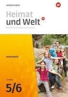 bokomslag Heimat und Welt Plus Gesellschaftswissenschaften 5 / 6. Arbeitsheft. Für das Saarland