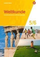 bokomslag Weltkunde 5 / 6. Schulbuchtexte in einfacher Sprache. Für Gemeinschaftsschulen in Schleswig-Holstein