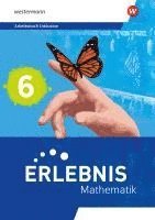bokomslag Erlebnis Mathematik 6. Arbeitsbuch Inklusion. Für Berlin, Brandenburg, Hessen, Sachsen-Anhalt
