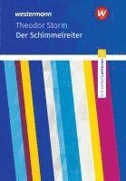 bokomslag Der Schimmelreiter: Textausgabe