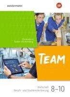 bokomslag TEAM - Arbeitsbuch für Wirtschaft/Berufs- und Studienorientierung an Gymnasien in Baden-Württemberg - Ausgabe 2024