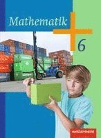 bokomslag Mathematik 6. Schulbuch