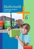 bokomslag Mathematik 6. Arbeitsheft. Individuelles Fördern und Fordern