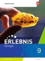 bokomslag Erlebnis Biologie 9. Schulbuch. Sachsen