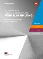 bokomslag Mathematisch-Naturwissenschaftliche Formelsammlung IQB