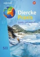 bokomslag Diercke Praxis SII. Schulbuch. Einführungsphase. Nordrhein-Westfalen
