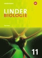 bokomslag LINDER Biologie 11. Schulbuch. Sekundarstufe 2. Sachsen