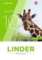 bokomslag LINDER Biologie SI 10. Arbeitsheft. Für Sachsen