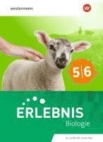 bokomslag Erlebnis Biologie 5/6. Schulbuch. Allgemeine Ausgabe