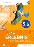 Erlebnis Naturwissenschaften 5/6. Schulbuch. Allgemeine Ausgabe, Inbunden