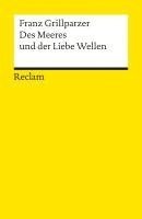 bokomslag Des Meeres und der Liebe Wellen