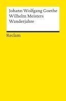 bokomslag Wilhelm Meisters Wanderjahre oder Die Entsagenden