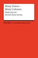 Barbara Korte, Claudia Sternberg - Many Voices, Many Cultures, Häftad