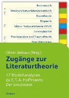 bokomslag Zugänge zur Literaturtheorie. 17 Modellanalysen zu E.T.A. Hoffmanns »Der Sandmann«