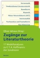 bokomslag Zugänge zur Literaturtheorie. 17 Modellanalysen zu E.T.A. Hoffmanns »Der Sandmann«