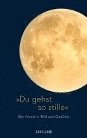 bokomslag »Du gehst so stille«