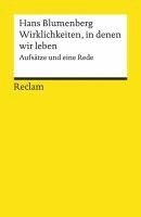 Hans Blumenberg - Wirklichkeiten, in denen wir leben, Häftad