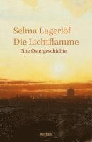 bokomslag Die Lichtflamme