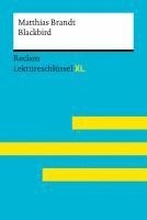 bokomslag Blackbird von Matthias Brandt: Lektüreschlüssel mit Inhaltsangabe, Interpretation, Prüfungsaufgaben mit Lösungen, Lernglossar. (Reclam Lektüreschlüssel XL)