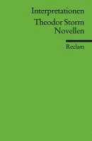Christoph Deupmann - Interpretationen: Theodor Storm. Novellen, Häftad