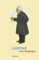 bokomslag Goethe zum Vergnügen