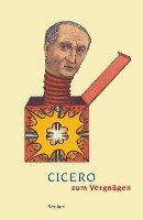 bokomslag Cicero zum Vergnügen