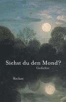 Dietrich Bode - Siehst du den Mond?, Häftad