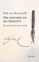Dirk von Petersdorff - Wie schreibe ich ein Gedicht?, Häftad