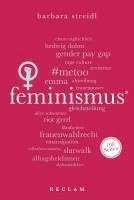 bokomslag Feminismus. 100 Seiten