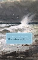 Theodor Storm - Der Schimmelreiter, Häftad