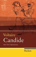 Candide oder Der Optimismus 1