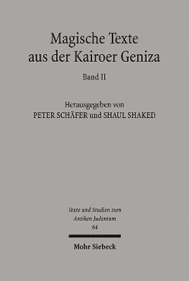 bokomslag Magische Texte aus der Kairoer Geniza